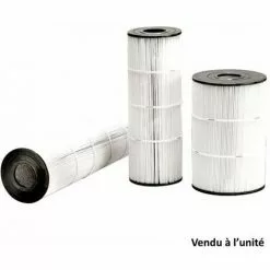 Cartouche Filtrante De Rechange Pour Filtre C0250euro - Cx0250re - Hayward