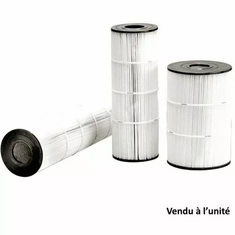 Cartouche Filtrante De Rechange Pour Filtre C0750 - Cx0750re - Hayward 1 Cartouche Filtrante De Rechange Pour Filtre C0750 - Cx0750re - Hayward
