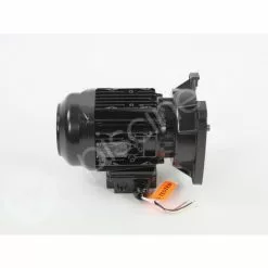 Moteur Pour Pompes La Sta-Rite 0,75 CV Tri - Pentair -Pompe et filtre de piscine Soldes 31487515 3