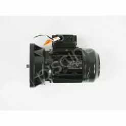 Moteur Pour Pompes La Sta-Rite 0,75 CV Tri - Pentair -Pompe et filtre de piscine Soldes 31487515 4