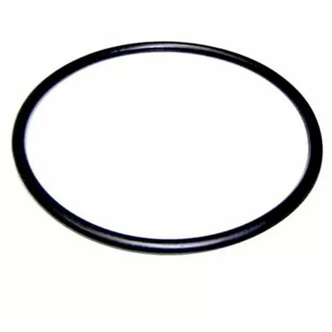 Plantawa Joint Torique Préfiltre Pour Pompe De Piscine Victoria Plus Remplacemente Parfaite Étanchéité Astralpool 1 Plantawa Joint Torique Préfiltre Pour Pompe De Piscine Victoria Plus Remplacemente Parfaite Étanchéité Astralpool