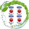 BRIDAY Cartouches Filtrantes De Rechange Pour Bestway 58094 Type II, Bestway 58383-Epurateur De Filtre Cartouche Type II, Filtre à Cartouche Pour Bestway Type II Pompe De Piscine (4 Pièces)