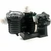 Pompe Piscine - Sta-Rite 5P6R - 0.75 CV - Mono - Eau Douce De Pentair