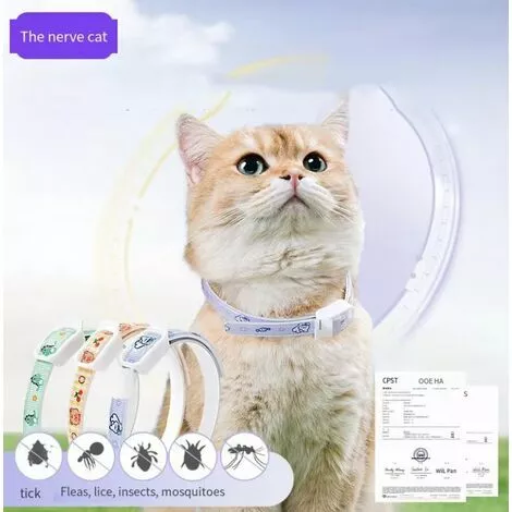 ELLE Collier Vermifuge Pour Chat Collier Anti-puces Pour Chien L(70CM) Lapin Violet 2 ELLE Collier Vermifuge Pour Chat Collier Anti-puces Pour Chien L(70CM) Lapin Violet – Image 2