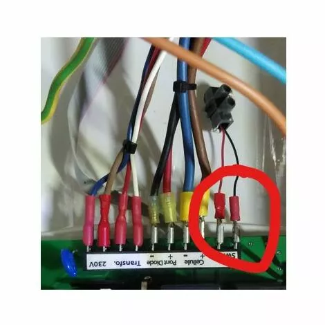 BIOPOOL Cellule Activ'Sel TPS 060 2 BIOPOOL Cellule Activ'Sel TPS 060 – Image 2