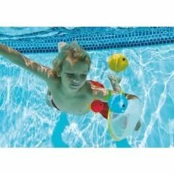 Jeu De Plongée Poissons + Filet Intex -Pompe et filtre de piscine Soldes 5727926 3