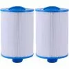 HIASDFLS Cartouche De Filtre De Spa , Pour Filtre À Remous Pleatco Pww50 , Filtre De Spa Pour Filtre De Remplacement Unicel 6Ch-940 Spa Business Whirlpool (2 Pièces）