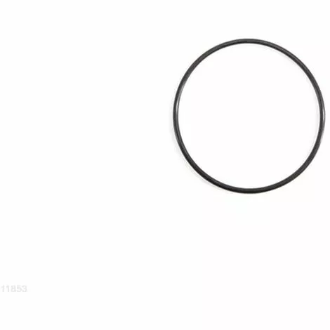 INTEX ELETROLYTIC CELL O-RING FOR 28423/28424 1 INTEX ELETROLYTIC CELL O-RING FOR 28423/28424