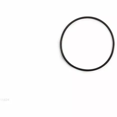 INTEX LEAF TRAP O-RING FOR 12" SAND FILTER PUMP 1 INTEX LEAF TRAP O-RING FOR 12" SAND FILTER PUMP