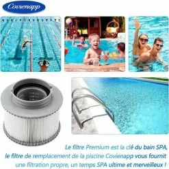 BARES Filtre De Rechange Pour Ms-pa FD2089 Compatible Avec Toutes Les Cartouches Filtrantes MS-pa Actuelles Et Les Piscines Filtre Spa Gonflable (Version Améliorée) Lot De 2 -Pompe et filtre de piscine Soldes 59961839 4