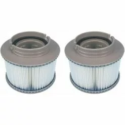 SINCèREETALI Lot De 2 Filtres De Rechange Pour MSPA FD2089 Pour Pompes à Cartouche Pour Tous Les Spas Actuels MSPA
