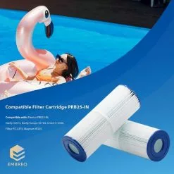 MOWZE Cartouche De Rechange Pour Pompe De Filtre PRB25-IN Convient Pour Pleatco PRB25-IN Darlly 42513 Europe SC704 Unicel C-4326 FC-2375 Magnum RD25 Spa - Eau Propre Et Salubre - 2 Pack 2 Pack -Pompe et filtre de piscine Soldes 63869904 3