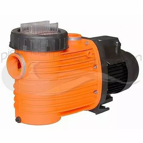 Pompe Badu Top ES 13 0,55 CV Triphasée Speck 1 Pompe Badu Top ES 13 0,55 CV Triphasée Speck