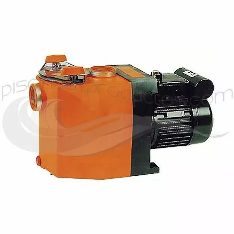 Pompe Badu 30/7 0,5 CV Triphasée Speck 1 Pompe Badu 30/7 0,5 CV Triphasée Speck