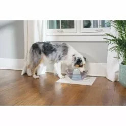 PERLE RARE Filtre En Mousse De Rechange (Pack De 2) - Fontaines En Céramique, Plastique Et Fontaines Drinkwell 360 En Acier -Pompe et filtre de piscine Soldes 65797033 5