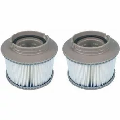 BRIDAY 2 Filtres De Rechange Pour MSPA FD2089, Pompes à Cartouche Pour Tous Les Spas Actuels