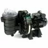 Pompe De Filtration Piscine Pentair Sta-rite 0.75 Cv Mono 5p2rd-1