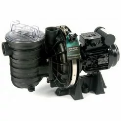 Pompe De Filtration Piscine Pentair Sta-rite 0.75 Cv Mono 5p2rd-1