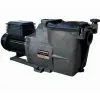 Super Pump Hayward 1 Cv Tri 13,5 M³/h 1''1/2 Pompe De Filtration Piscine