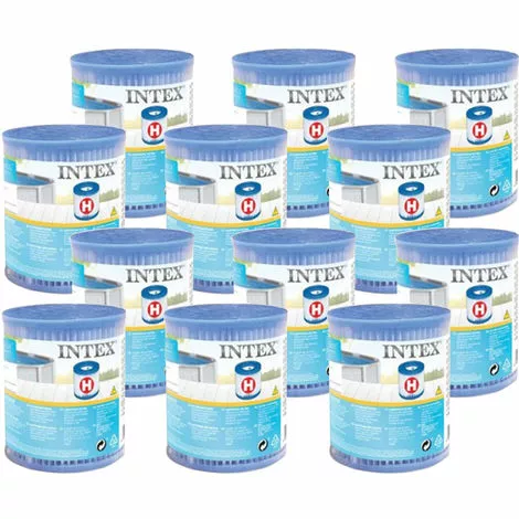 12 Cartouches De Filtration H - Intex - Blanc 1 12 Cartouches De Filtration H - Intex - Blanc