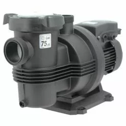 Pompe Piscine - Naiade 15 Mono De Espa