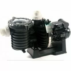 STA-RITE Pompe Starite 0,75 Cv Mono - S5p6r